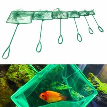 휴대용 수족관 물고기 탱크 광장 새우 작은 Betta 테트라 그물 부동 개체 게 청소 도구 3 quot-10quot, [04] 6 inch, [01] Green
