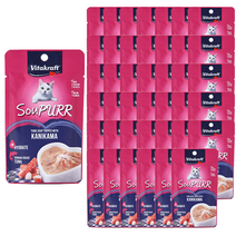 비타크래프트 수프 고양이 파우치 간식 참치 50g, 참치 + 게맛살 혼합맛, 48개