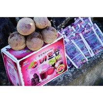 제주도원 제주산 비트로 만든 비트즙, 100포, 제주산 비트즙