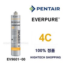 4C 필터 에버퓨어 순정 EV9601-00 PENTAIR