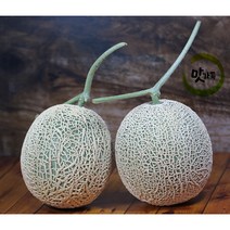 맛가득 빛센서선별 고당도 메론 칸탈로프멜론 파파야메론 머스크메론, 머스크멜론 1.67-1.95Kg 1입