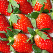 산청 가장 맛있는 제철 딸기 750g 1.5kg 죽향 금실 설향 장희 생딸기, 특품 750g x 2팩, 2개