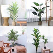 마쉬매리골드 조화 나무 초인기 30종 모음, 고무나무, M 120cm(HM1347120)