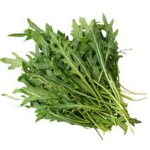 [특급] 싱싱한 와일드루꼴라 250g 500g 1kg 베이비루꼴라, 와일드루꼴라 500g