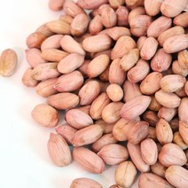 보은 생 알땅콩 500g /국산땅콩, 1개