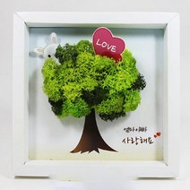사이언스피아 스칸디아모스액자만들기(5인세트 미세먼지흡수