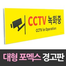 대형 포맥스 안내판 CCTV녹화중