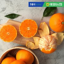 [더조은푸드] [애월농협] 제주 천혜향 2kg (6-12입), 상세 설명 참조