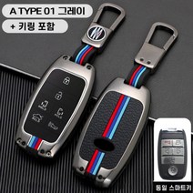 청춘카 기아 자동차 스마트 키케이스 차 메탈 키홀더 키링 키커버 올뉴카니발 더뉴카니발, A TYPE 01 그레이(6버튼), 그레이