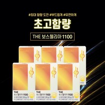 고순도 고함량 관절 보스웰리아 보스웰릭산 케토보스웰릭산 아세틸케토보스웰릭산 AKBA + KBA 부모님 어르신 추천, 6BOX(6개월분)