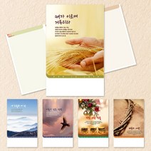 예닮 주보 절기주보 5종 주보 교회주보 주보디자인 칼라복사지 교회용품 주보인쇄 주보만들기, 2세트, 380x200mm 500매