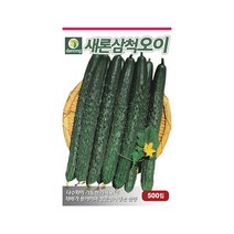 새론삼척오이 씨앗 500립 가시오이 다수확 고온기재배, 단품