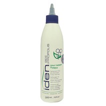 아이덴 비 프로폴리스 스칼프 테라피 프레비 300ml 두피스켈링 비듬 피지제거, 1개