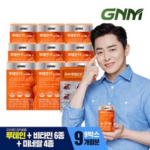 GNM자연의품격 GNM 루테인11 9박스 / 비타민 6종 + 미네랄 4종 눈건강 비타민B 아연 엽산, 기타
