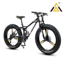 프리미엄 MTB 자전거 팻바이크 광폭타이어 24인치 26인치, 화이트-21단-쓰리 휠