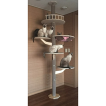 푸시캣/아트폴/원목캣폴/캣타워/고양이/캣폴/원목, ~280cm