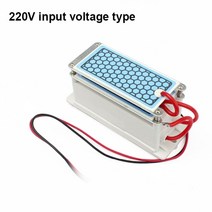 가정용 산소 발생기 휴대용 오존 12v 110v 220v 10g 더블 세라믹 플레이트 ozonizer 소독 공기 청정기 정수 필터 클리너 sterilizer ionizer