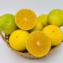 [장보리] 제주 꼬마 황금향 3kg, 상세 설명 참조