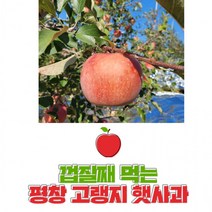평창사과 껍질째먹는 고랭지사과 꿀부사사과 5kg 20과 내외 친환경햇부사, 상세페이지 참조