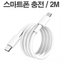 스마트폰 핸드폰 케이블 CTO라이 핸드폰악세사리 충전케이블 길이가 긴 2M케이블 USB포트 핸드폰용, LD-910 C TO 라이트N 케이블 (A사)_화이트_