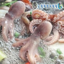 쭈꾸미 활쭈꾸미1kg(7~13미), 1개, 활쭈꾸미1kg(2인분 빙장포장)