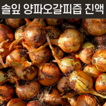 생양파 저온착즙 양파즙 통양파즙 양파 엑기스 양파껍질즙 통 양파즙 농축액 진액 액 양파물 부모님 예비 시아버지 할머니 할아버지 건강즙 선물 추천