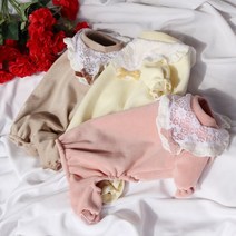 포메라이언 댕댕이 강아지 분양 베들링턴테리어 빠삐용강아지 삽살개 파티푸들 털안빠지는강아지 소형견종류 개훌륭 강형욱 코코펫 케이프올인원, 브라운