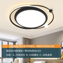 Led 천장 조명 거실 헤드 라이트 마스터 침실 샹들리에 Daquan 발코니 현대적인 미니멀리스트 분위기 중산 광동, 13 - 크로스 서클 55cm 트라이톤
