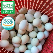 무항생제 계란 초란 청란 청계란 방사 유정란 30구 60구, 청란30구