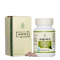 미숙 여주주정추출물 분말 알약 발효 유기농여주 카란틴 모모르데신 천연인슐린 식약처인증 HACCP 60정, 2개