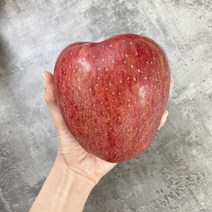 2023년 경북 갓 수확 홍로 사과 가정용 2kg 3kg 5kg 10kg, [홍로] 사과 소과(10-13과)2kg, 1개