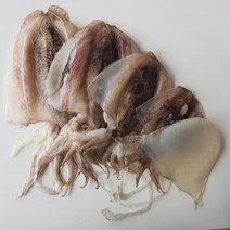 대동호영어조합법인 국내 자연산 냉풍반건조 갑오징어 1마리, 1개, 중 20cm내외