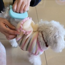 댕냥이 그루밍 목욕 피모관리 소프트 브러쉬 빗 엉킨털 죽은털 빝 스핑크스 고양이 털엉킴 브러시 반려묘 페르시안 펫브러쉬 털제거 애묘 장모 풍성한털 길냥이 털케어 뱅갈 털갈이 단모