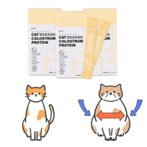 닥터바이 캣초유프로틴 고양이 단백질 근력개선 면역력 산양유 펫밀크 노령묘 영양제, 1세트