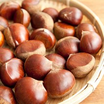 22년 공주 부여 토종 햇밤 1kg 2kg 3kg 대 특 사이즈, 햇밤(대) 1kg, 1개