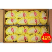 [프레시푸드마켓] 고당도 태국망고 항공직송 프리미엄 수입과일 과일선물세트 1.5KG 2.5KG 5KG, 태국망고 2.5KG, 1개