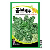 곰보배추 1000립 / 곰보배추 씨앗 못난이 배추 씨앗 씨