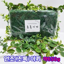 샤인 몰) 인조 초록이끼 화분이끼 대포장 약650g /원예장식 조경용 /화분장식/인테리어 이끼