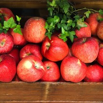 경북 산지직송 당도선별 가정용 정품 꿀사과 부사사과 2kg 3kg 5kg 10kg, (정품) 5kg / 소과 / 22-24과
