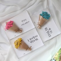 프리저브드 안개꽃 카드(+문구)/가로형 엽서/생일 드라이플라워카드, 문구추가 20자이내, 01. 안개꽃(핫핑크)