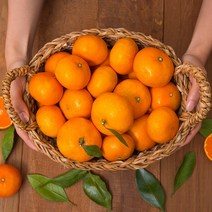 제주 하우스감귤 2.5kg 소과, 1박스