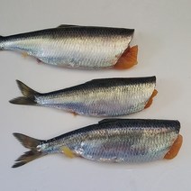 통영 청어 1kg 3~5미 손질 청어 생물 청어 알 배기 청어 오늘저녁메뉴 냉동 청어 구이 청어조림 청어 과메기 청어, 알배기 청어 1kg, 1개