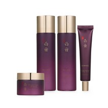 한방 기초화장품 프리미엄 한방 단품구성 로션200ml, 200ml, 2개