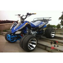 atv 4륜 오토바이 Little Mars 125cc 샤프트 드라이브 전지형 산악 ATV 오프로드 스포츠카, 500 지불