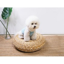 푸들 비숑 소라색 민소매 티셔츠 강아지 옷 애견내복 코카스파니엘옷 강아지옷 말티즈 프렌치불독 홈웨어, S