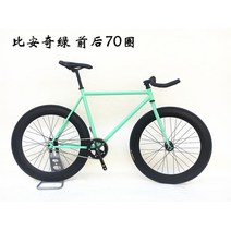 입문용 픽시 경륜 클래식 자전거 하이브리드 고등학생, 비안치그린앞뒤70바퀴