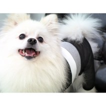 랑힐트 강아지 고양이 털갈이 전용 옷, 블랙
