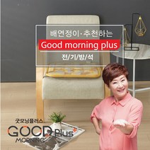 한일의료기 한일의료기 배연정 전기온열방석 전자파차단, 단일옵션