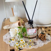 라디퓨저100ml 아로마 고급 실내 방향제 화장실 인테리어 대용량 천연향료 선물세트, 우드세이지&씨솔트, 100ml