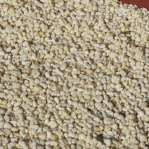 산지직송 껍질벗긴 정선 고랭지 햇옥수수 찰옥수수쌀 1kg, 1개
